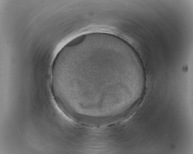 X0000110891520200907161514