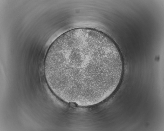 X0000110891521200907161514