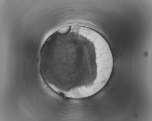 X0000110891522200907161514