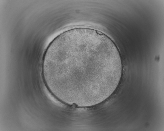 X0000110891523200907161514