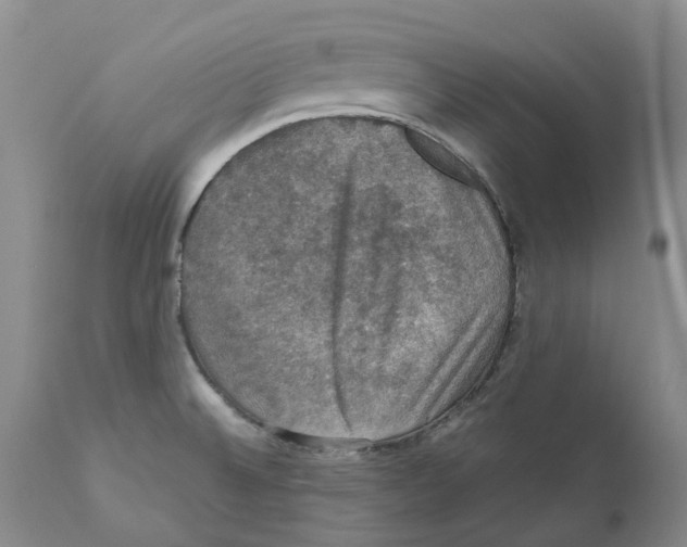 X0000110891524200907161514