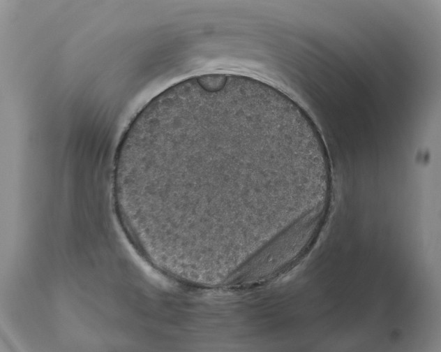 X0000110891525200907161514