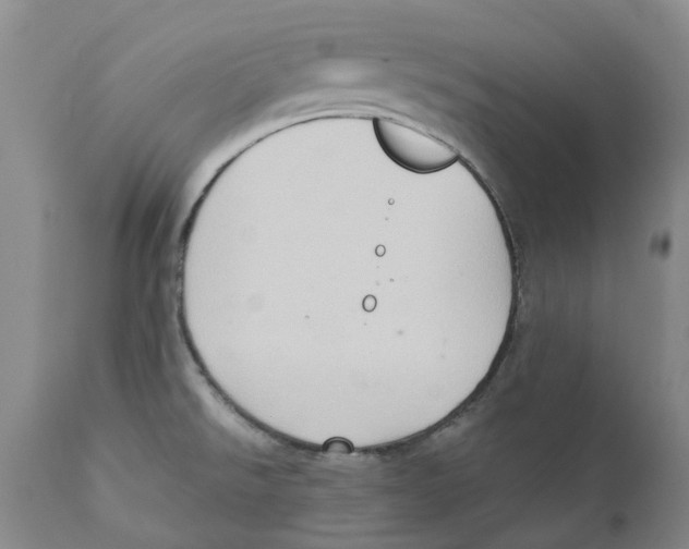 X0000110891526200907161514