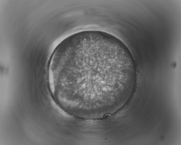 X0000110891527200907161514