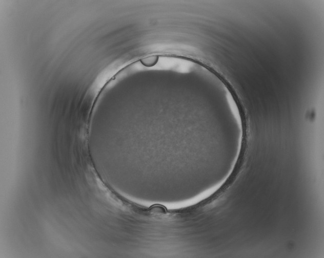 X0000110891529200907161514