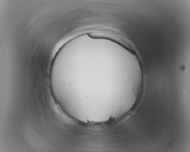 X0000110891530200907161514