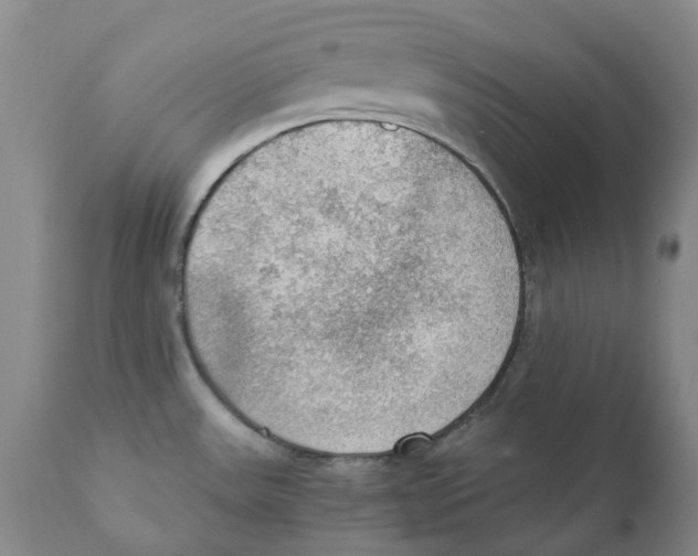 X0000110891531200907161514