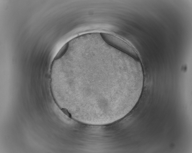 X0000110891532200907161514