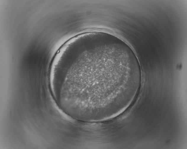 X0000110891533200907161514