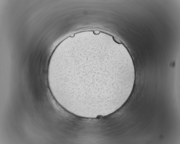 X0000110891534200907161514