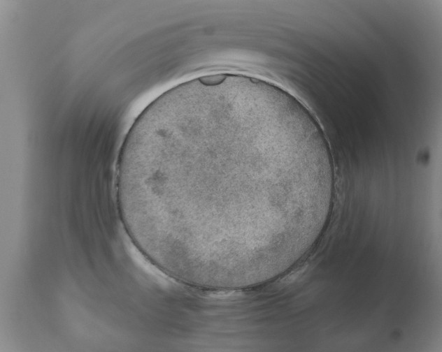 X0000110891535200907161514