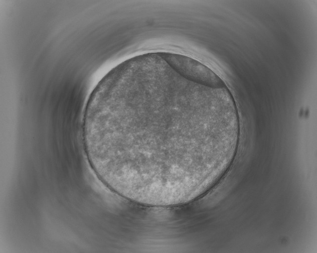 X0000110891536200907161514