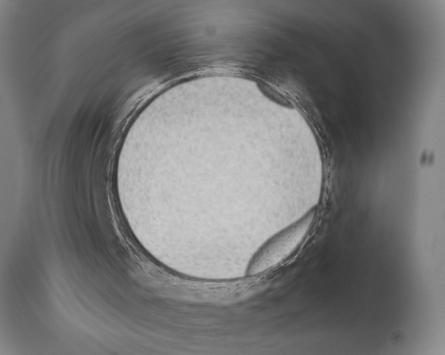 X0000110890001200907301554