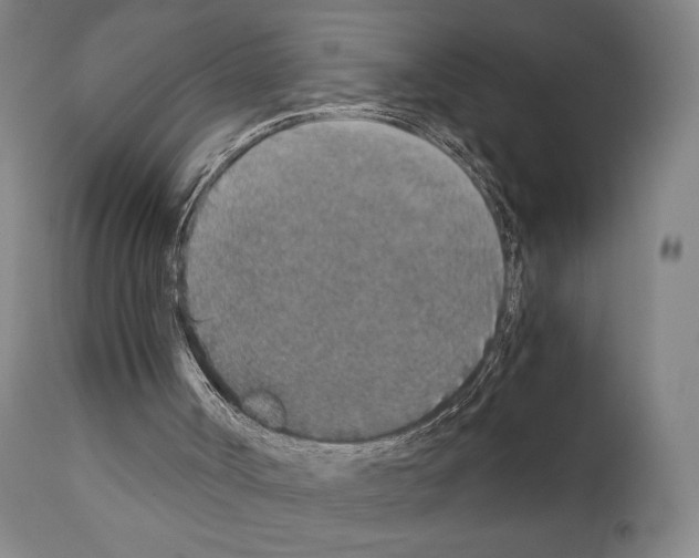 X0000110890002200907301554