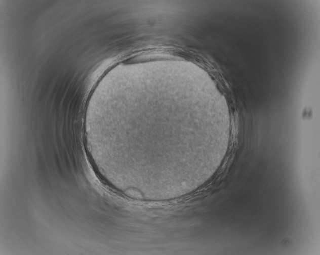 X0000110890003200907301554