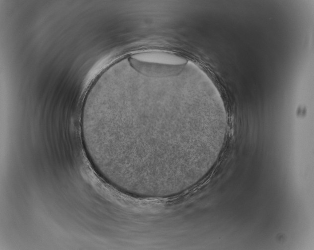 X0000110890004200907301554
