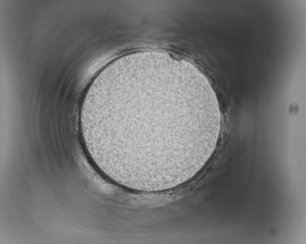 X0000110890005200907301554