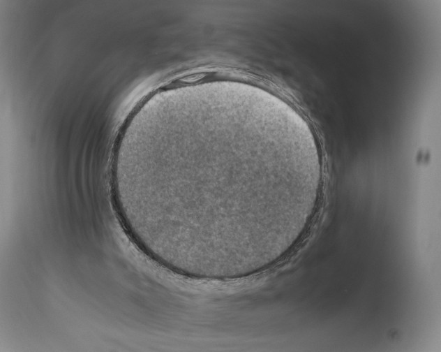 X0000110890007200907301554