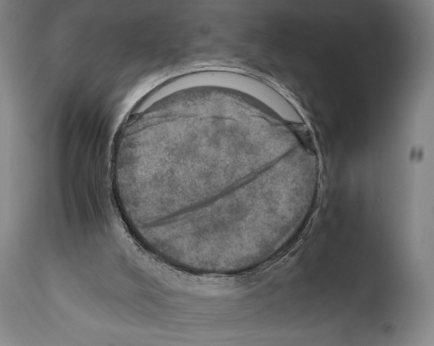 X0000110890008200907301554