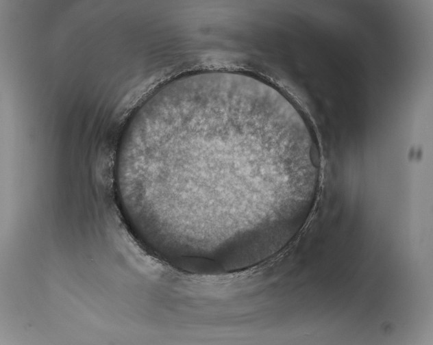 X0000110890009200907301554