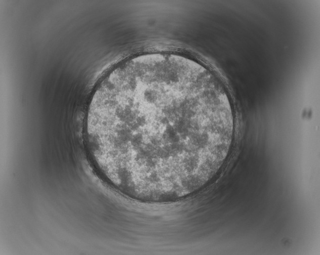 X0000110890010200907301554