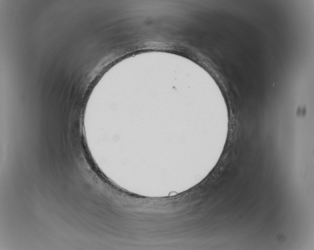X0000110890011200907301554