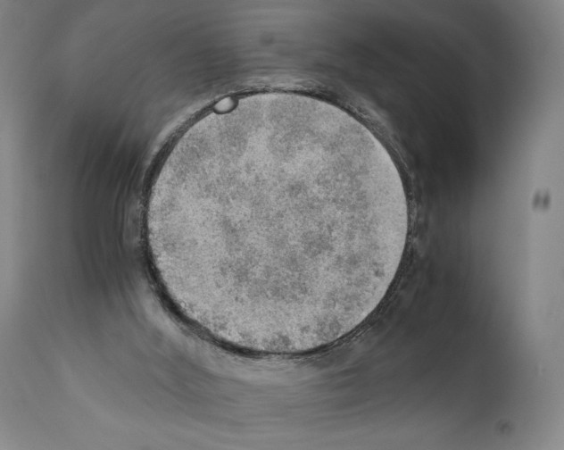 X0000110890012200907301554