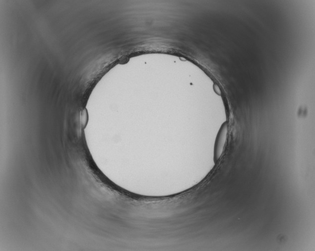 X0000110890013200907301554