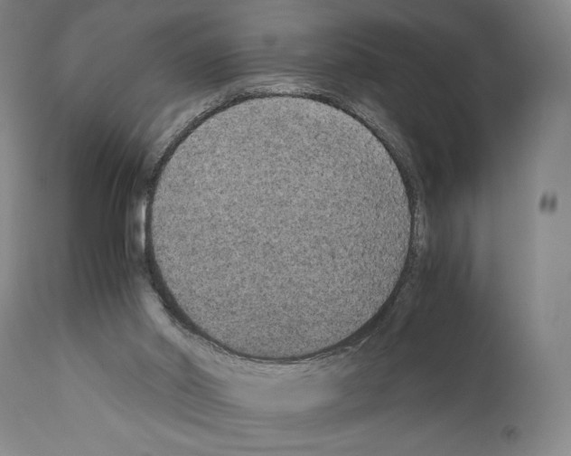 X0000110890014200907301554