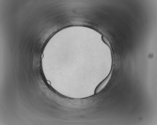 X0000110890015200907301554