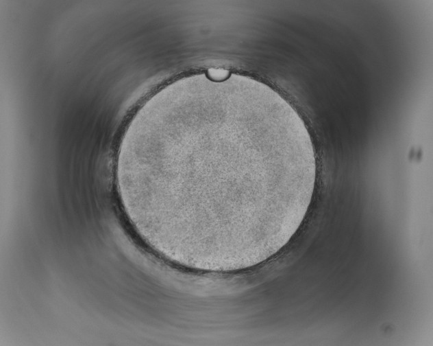 X0000110890016200907301554