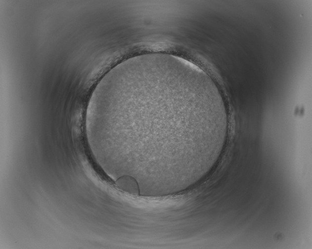 X0000110890018200907301554