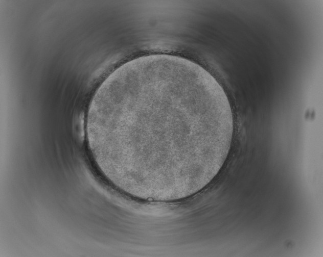 X0000110890020200907301554