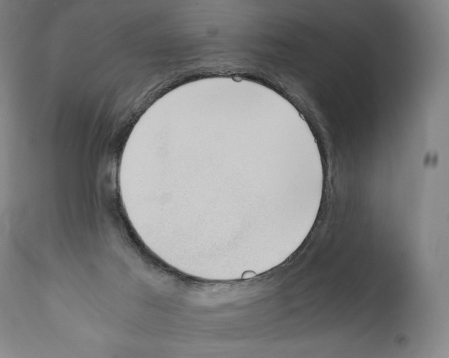 X0000110890021200907301554