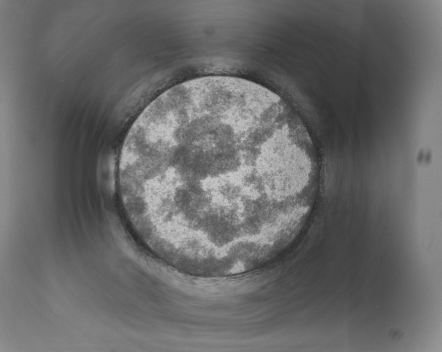 X0000110890022200907301554