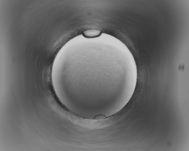 X0000110890023200907301554