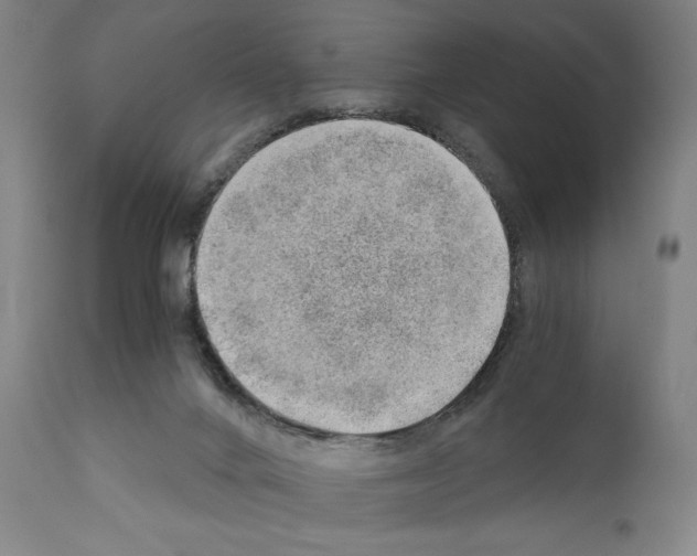 X0000110890024200907301554