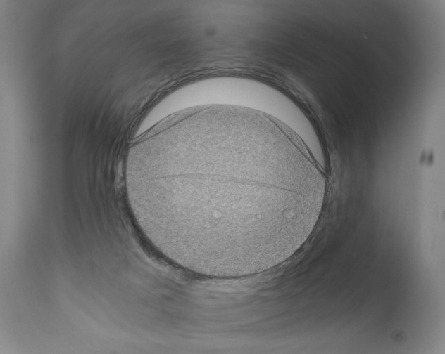 X0000110890025200907301553