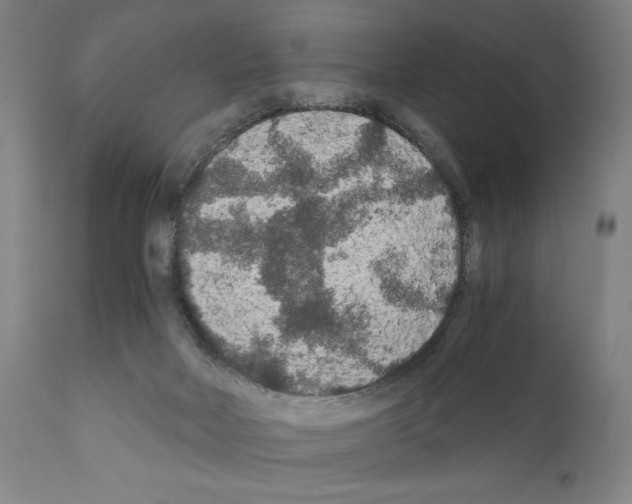 X0000110890026200907301553