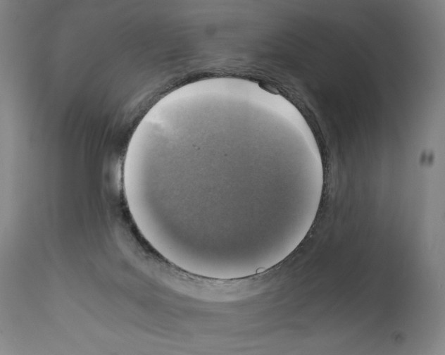 X0000110890027200907301553