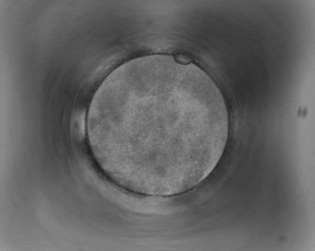 X0000110890028200907301553