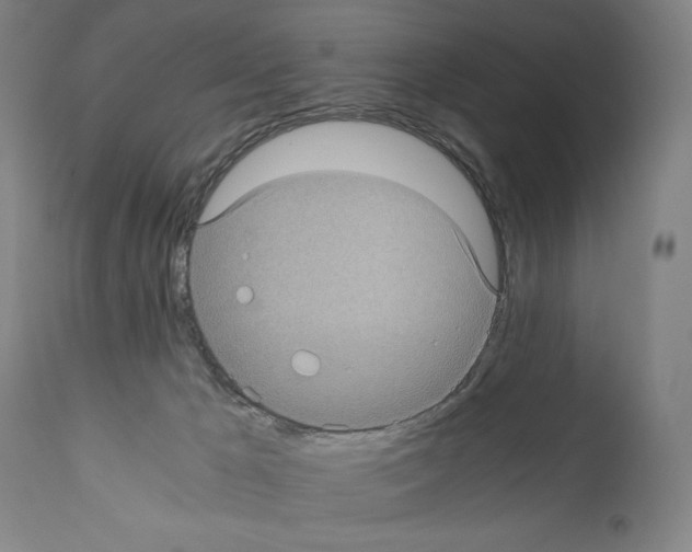X0000110890029200907301553