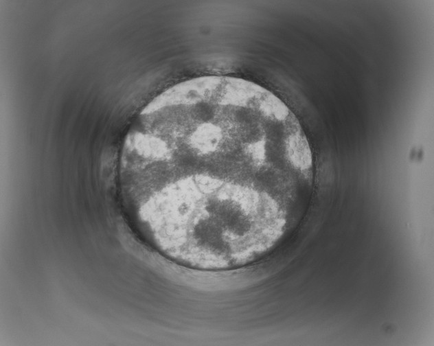 X0000110890030200907301553