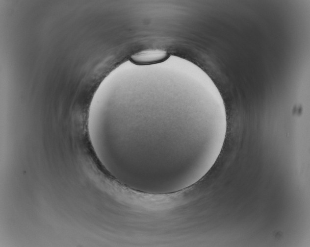 X0000110890031200907301553