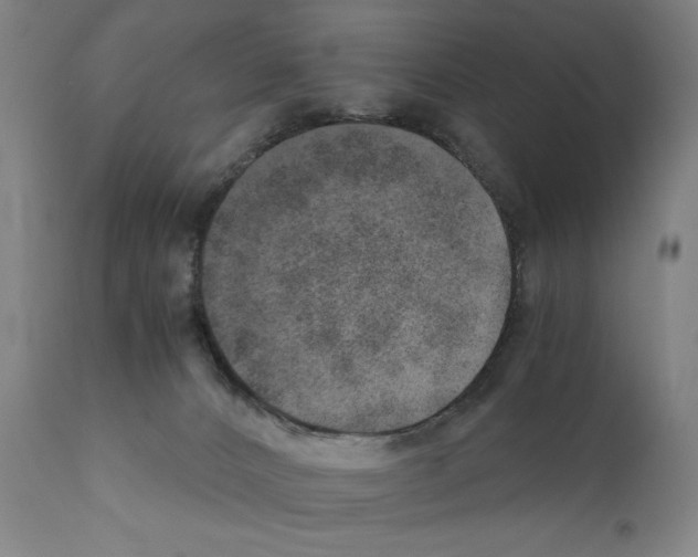 X0000110890032200907301553