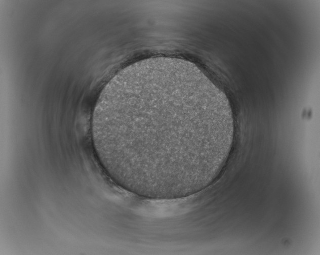 X0000110890033200907301553