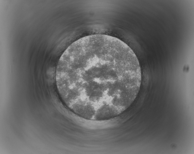 X0000110890034200907301553