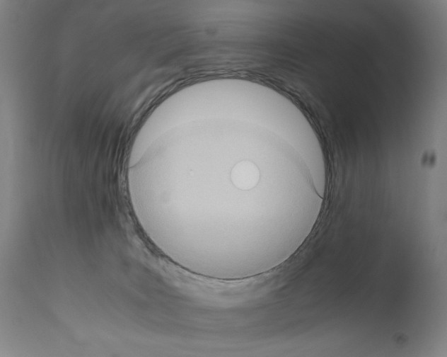 X0000110890035200907301553