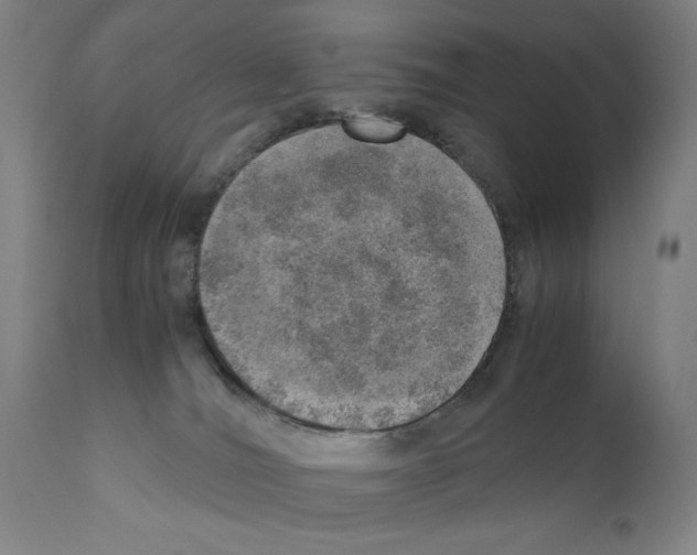 X0000110890036200907301553