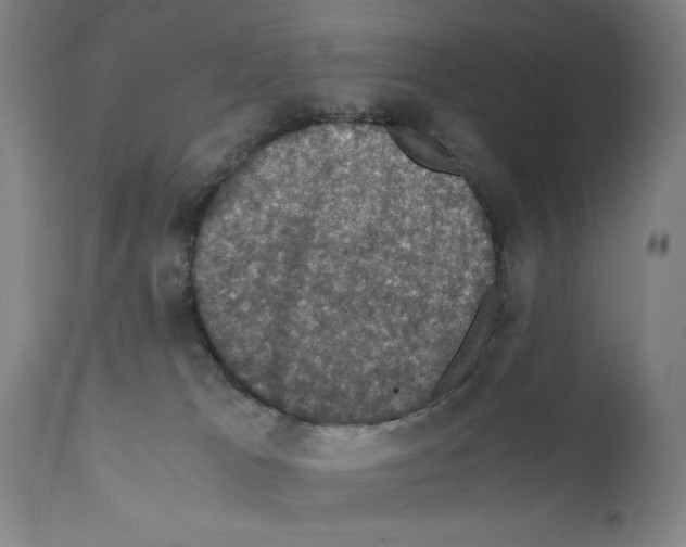 X0000110890037200907301553